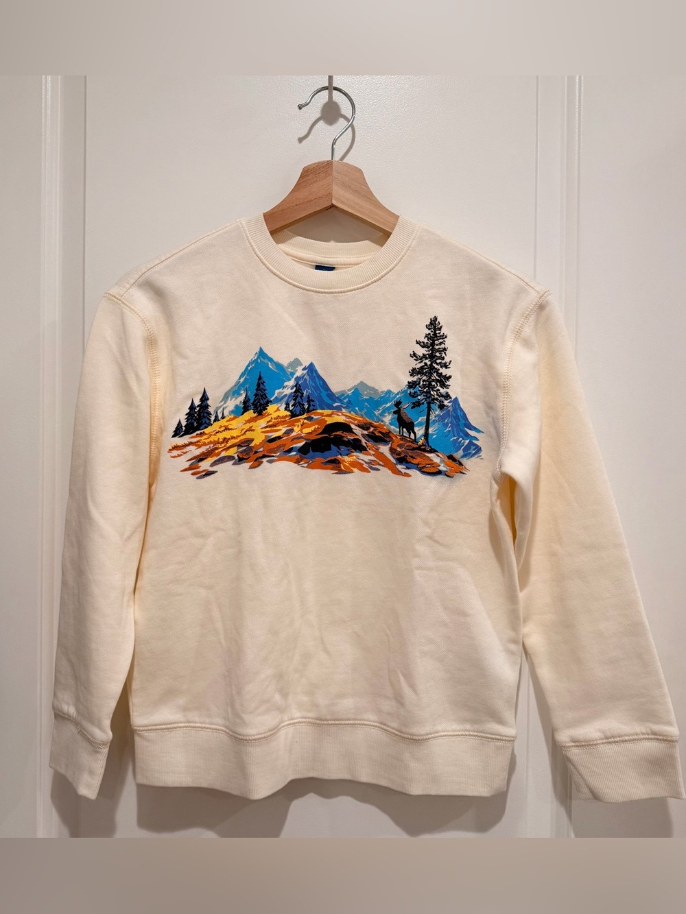 ✨ Boys 10-12 Cream Mountain Graphic Sweatshirt Outdoor Hiking Pullover